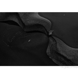 dailyPhoto9